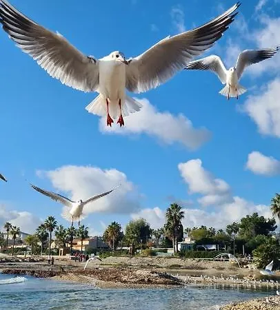 Ange Azur 2 Apartamento