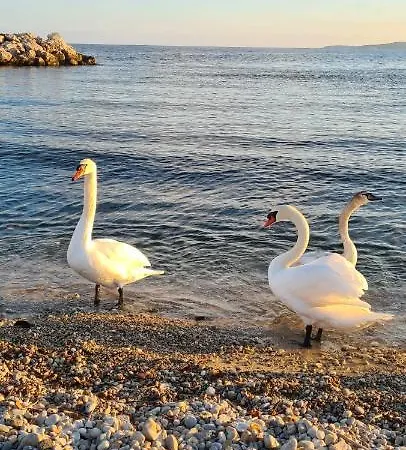 Ange Azur 2 Apartamento