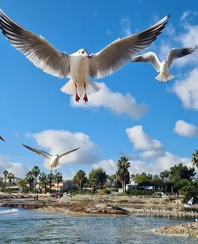 Ange Azur 2 Apartmán