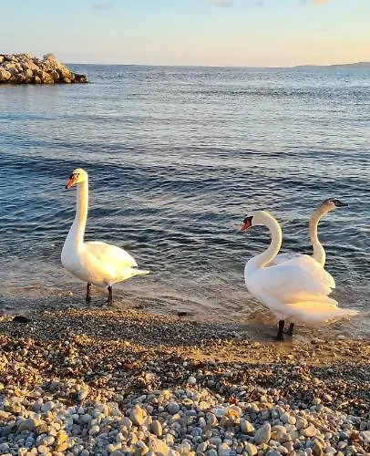 Ange Azur 2 Apartmán