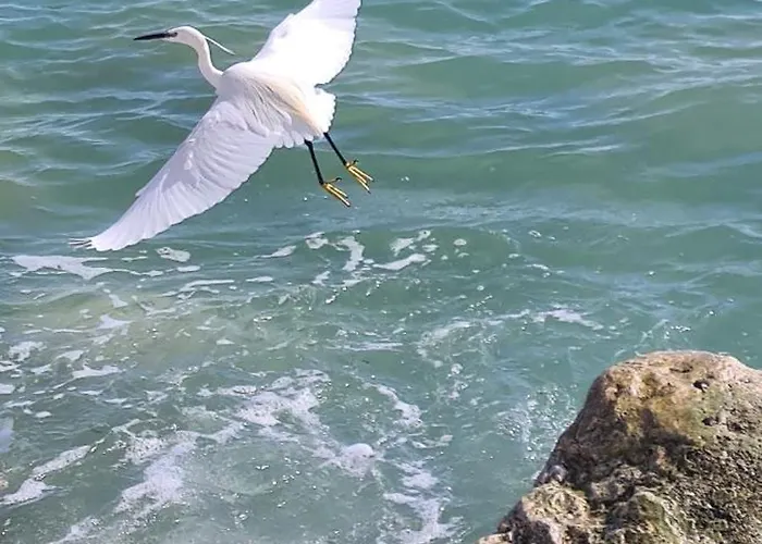 Ange Azur 2 Apartmán Villeneuve-Loubet