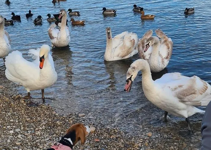 Apartmán Ange Azur 2 *