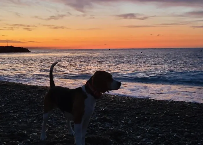 Ange Azur 2 Villeneuve-Loubet